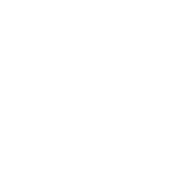 Гид в Венеции (анимация)